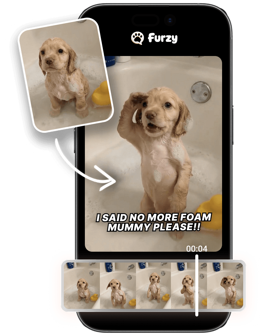 Drop a photo, get a talking video — bath puppy